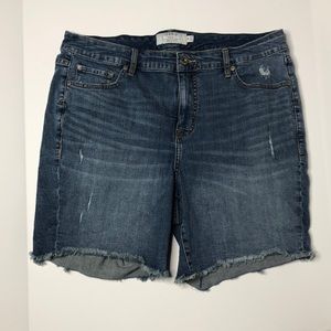 Torrid Distressed Jean Shorts